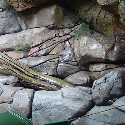 大連成色版抖音91免费 大連成色版抖音91免费