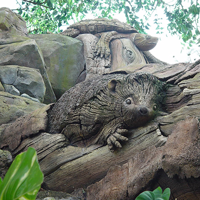 大連成色版抖音91免费 大連成色版抖音91免费