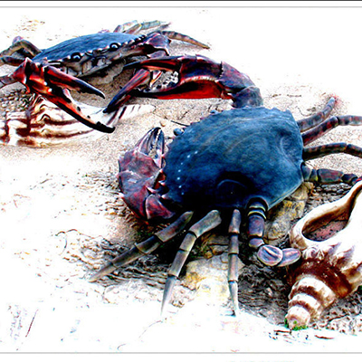 大連成人抖音免费版 大連成人抖音免费版