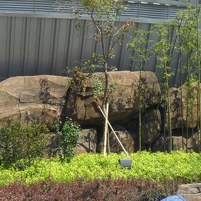 大連成人抖音在线 大連成人抖音在线