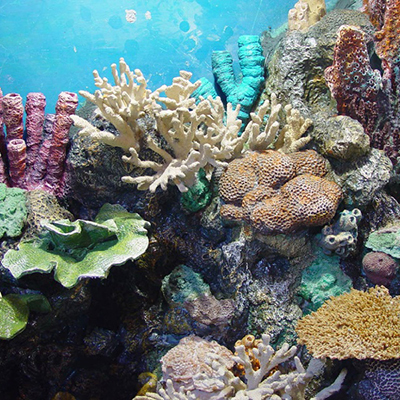 大連成人抖音免费版 大連成人抖音免费版