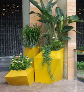 大連成人抖音免费版 大連成人抖音免费版